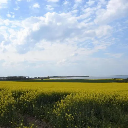 Stranddistel Links Mit Sauna Holiday home Boiensdorf