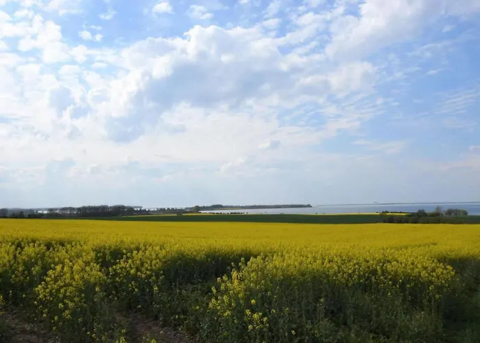 Stranddistel Links Mit Sauna 別荘 Boiensdorf